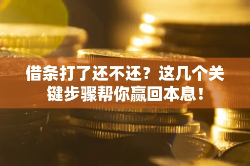 武汉借条打了还不还？这几个关键步骤帮你赢回本息！