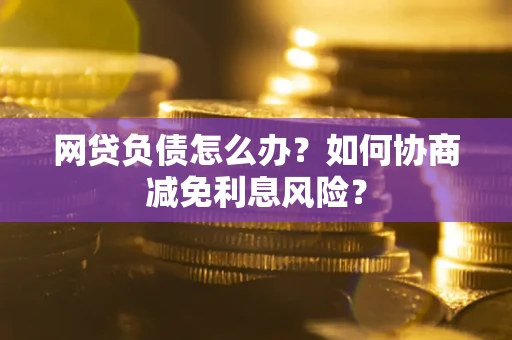 武汉网贷负债怎么办？如何协商减免利息风险？