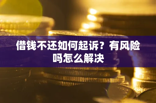 武汉借钱不还如何起诉？有风险吗怎么解决