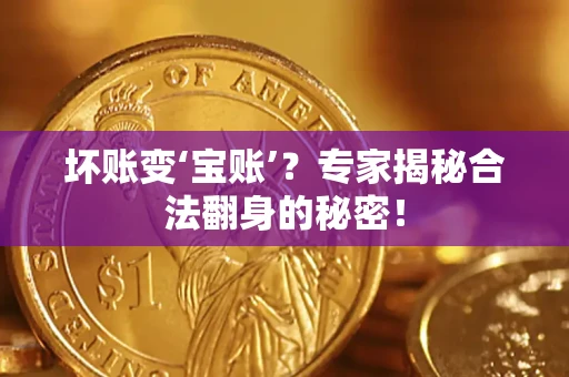 武汉坏账变‘宝账’？专家揭秘合法翻身的秘密！