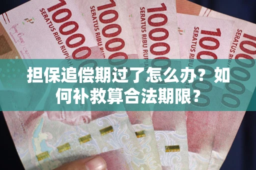 武汉担保追偿期过了怎么办？如何补救算合法期限？