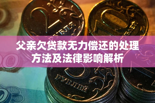 武汉父亲欠贷款无力偿还的处理方法及法律影响解析