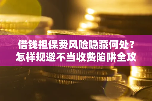 武汉借钱担保费风险隐藏何处？怎样规避不当收费陷阱全攻略！